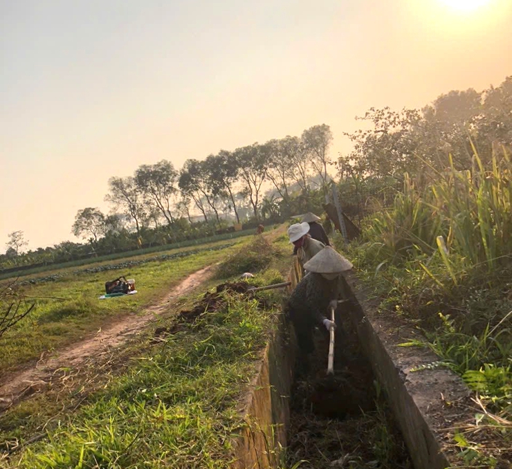 HỘI LHPN XÃ HÒA XÁ RA QUÂN TỔNG VỆ SINH ĐỒNG RUỘNG, HƯỞNG ỨNG SẢN XUẤT VỤ XUÂN 2026- Ảnh 3.