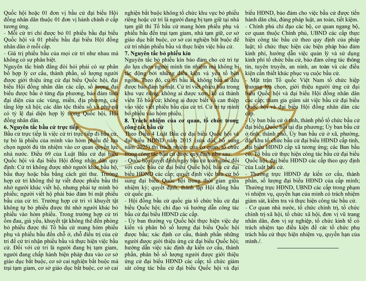 MỘT SỐ QUY ĐỊNH VỀ BẦU CỬ ĐẠI 
BIỂU QUỐC HỘI VÀ ĐẠI  BIỂU HỘI 
ĐỒNG NHÂN DÂN - Ảnh 2.