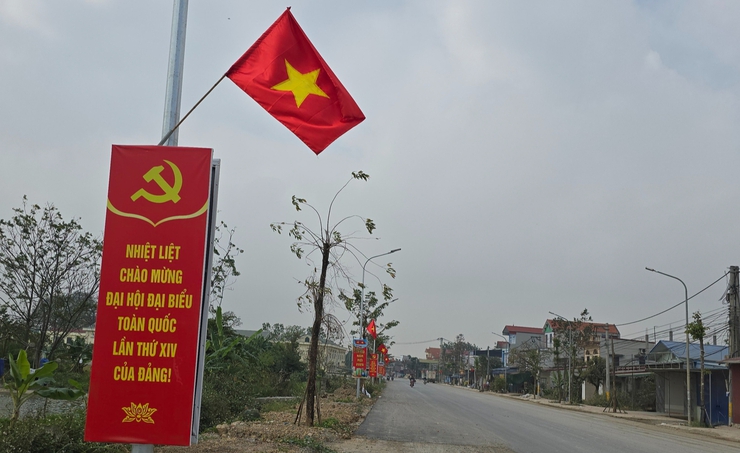 ỨNG HOÀ RỰC RỠ CỜ HOA CHÀO MỪNG ĐẠI HỘI ĐẢNG TOÀN QUỐC LẦN THỨ XIV.- Ảnh 3.