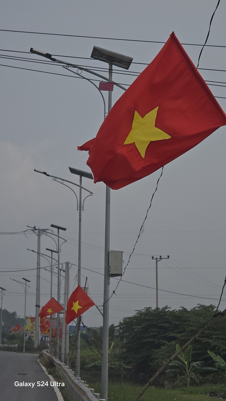 ỨNG HOÀ RỰC RỠ CỜ HOA CHÀO MỪNG ĐẠI HỘI ĐẢNG TOÀN QUỐC LẦN THỨ XIV.- Ảnh 6.