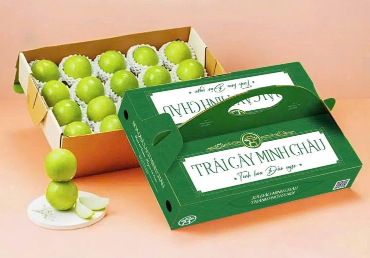 Táo Minh Châu – Tinh hoa Đảo Ngọc: từng bước đặt nền móng OCOP cho sản phẩm nông sản của địa phương- Ảnh 4.