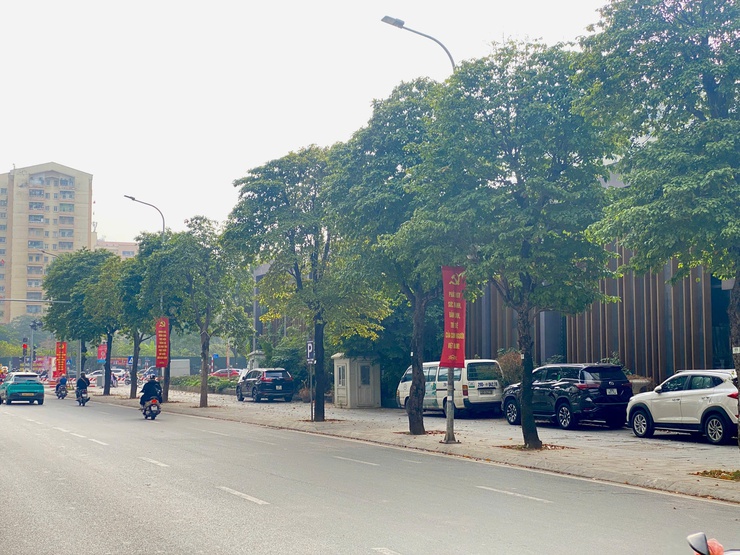  Phường Từ Liêm rực rỡ  cờ hoa chào mừng Đại hội đại biểu toàn quốc lần thứ XIV của Đảng- Ảnh 12.