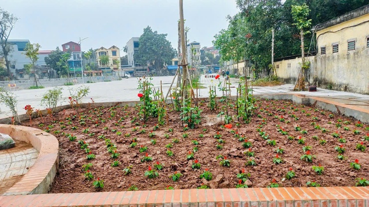 Thôn 3 Yên Mỹ, xã Thanh Trì thiết thực chào mừng Đại hội Đảng toàn quốc lần thứ XIV- Ảnh 5.