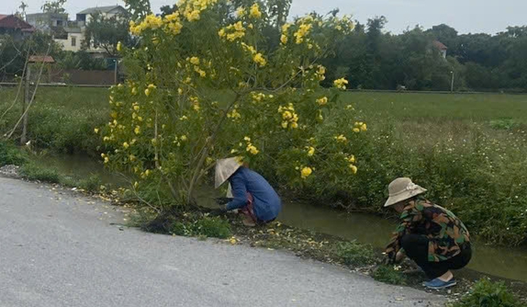 Ứng Hòa hỗ trợ 188,5 triệu đồng cho các thôn tổ chức   hoạt động văn hóa, văn nghệ chào năm mới 2026- Ảnh 10.