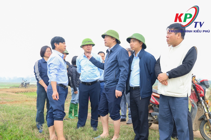 Đồng chí Bí thư Đảng ủy, Chủ tịch Hội đồng nhân dân xã Kiều Phú kiểm tra, chỉ đạo sản xuất vụ Xuân 2026- Ảnh 5.