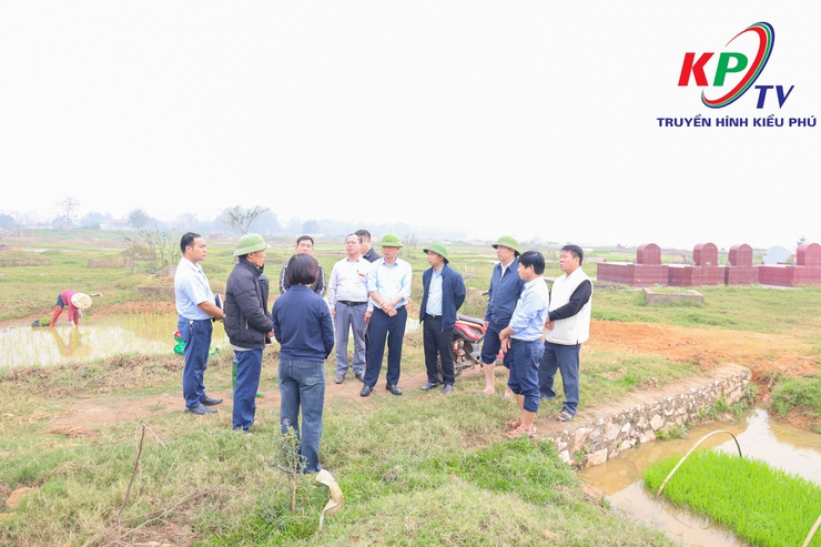 Đồng chí Bí thư Đảng ủy, Chủ tịch Hội đồng nhân dân xã Kiều Phú kiểm tra, chỉ đạo sản xuất vụ Xuân 2026- Ảnh 8.