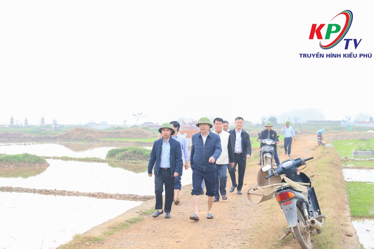 Đồng chí Bí thư Đảng ủy, Chủ tịch Hội đồng nhân dân xã Kiều Phú kiểm tra, chỉ đạo sản xuất vụ Xuân 2026- Ảnh 1.