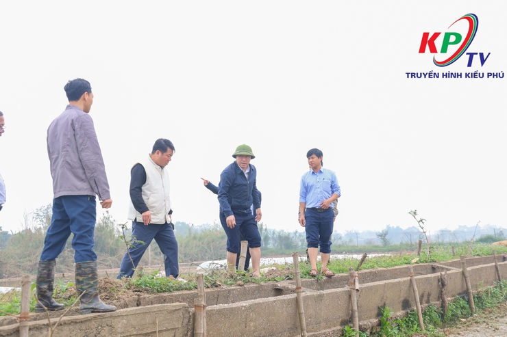 Đồng chí Bí thư Đảng ủy, Chủ tịch Hội đồng nhân dân xã Kiều Phú kiểm tra, chỉ đạo sản xuất vụ Xuân 2026- Ảnh 6.