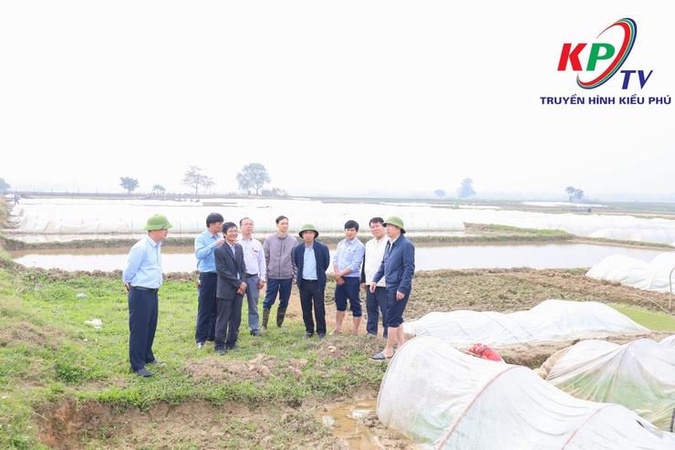 Đồng chí Bí thư Đảng ủy, Chủ tịch Hội đồng nhân dân xã Kiều Phú kiểm tra, chỉ đạo sản xuất vụ Xuân 2026- Ảnh 7.