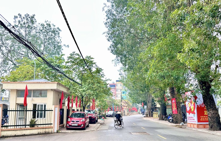 Xã Đại Thanh rực rỡ cờ hoa Chào mừng Đại hội đại biểu toàn quốc lần thứ XIV của Đảng Cộng sản Việt Nam- Ảnh 7.