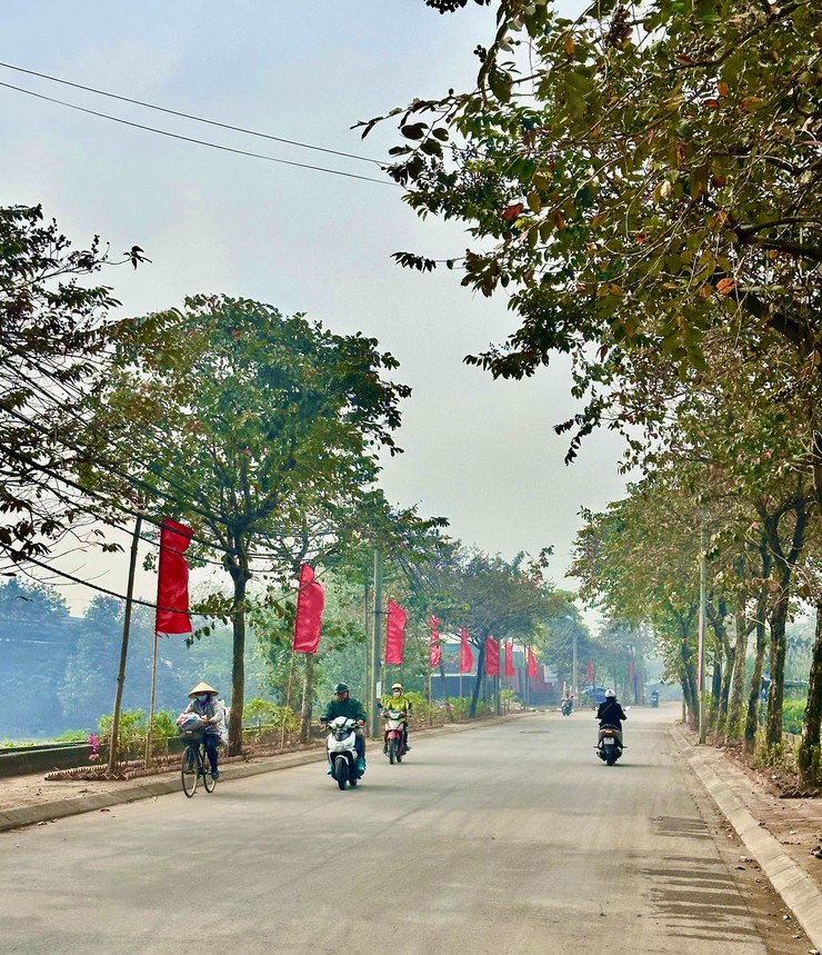 Xã Đại Thanh rực rỡ cờ hoa Chào mừng Đại hội đại biểu toàn quốc lần thứ XIV của Đảng Cộng sản Việt Nam- Ảnh 8.