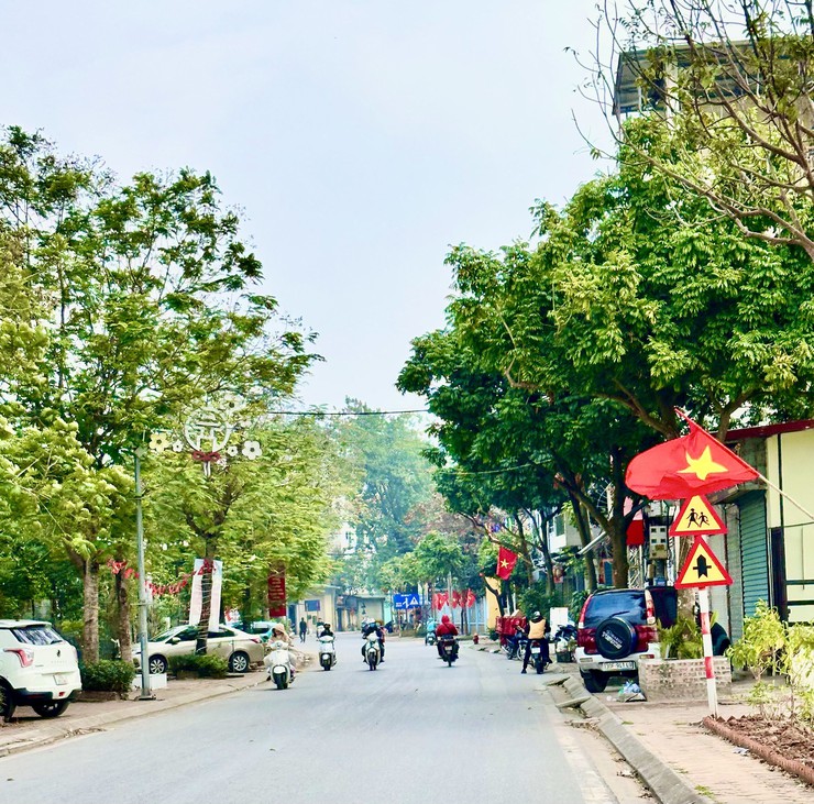 Xã Đại Thanh rực rỡ cờ hoa Chào mừng Đại hội đại biểu toàn quốc lần thứ XIV của Đảng Cộng sản Việt Nam- Ảnh 6.