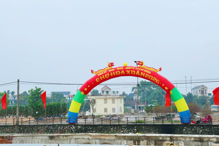 80 đơn vị đăng ký gian hàng Chợ hoa xuân Tết Bính Ngọ 2026- Ảnh 6.