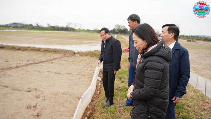 Lãnh đạo xã Hưng Đạo kiểm tra công tác chuẩn bị sản xuất vụ Xuân năm 2026- Ảnh 2.