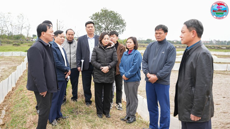 Lãnh đạo xã Hưng Đạo kiểm tra công tác chuẩn bị sản xuất vụ Xuân năm 2026- Ảnh 1.