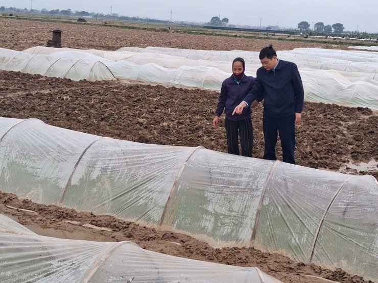 Xã Tiến Thắng chủ động công tác gieo cấy vụ Xuân năm 2026- Ảnh 3.