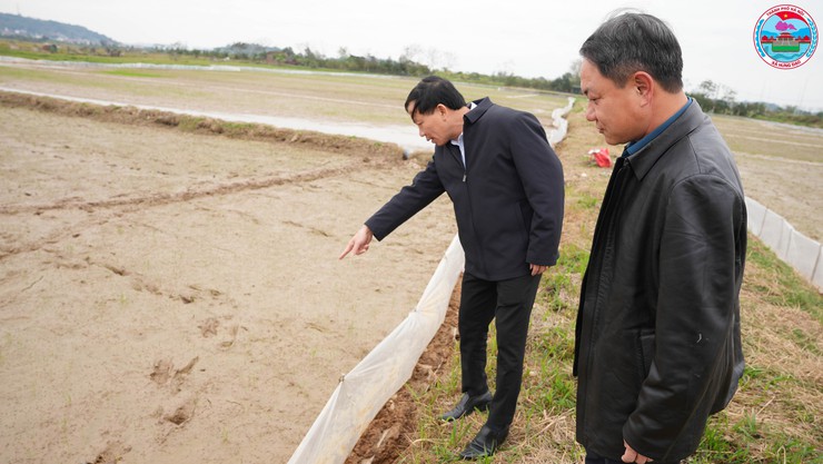 Lãnh đạo xã Hưng Đạo kiểm tra công tác chuẩn bị sản xuất vụ Xuân năm 2026- Ảnh 3.