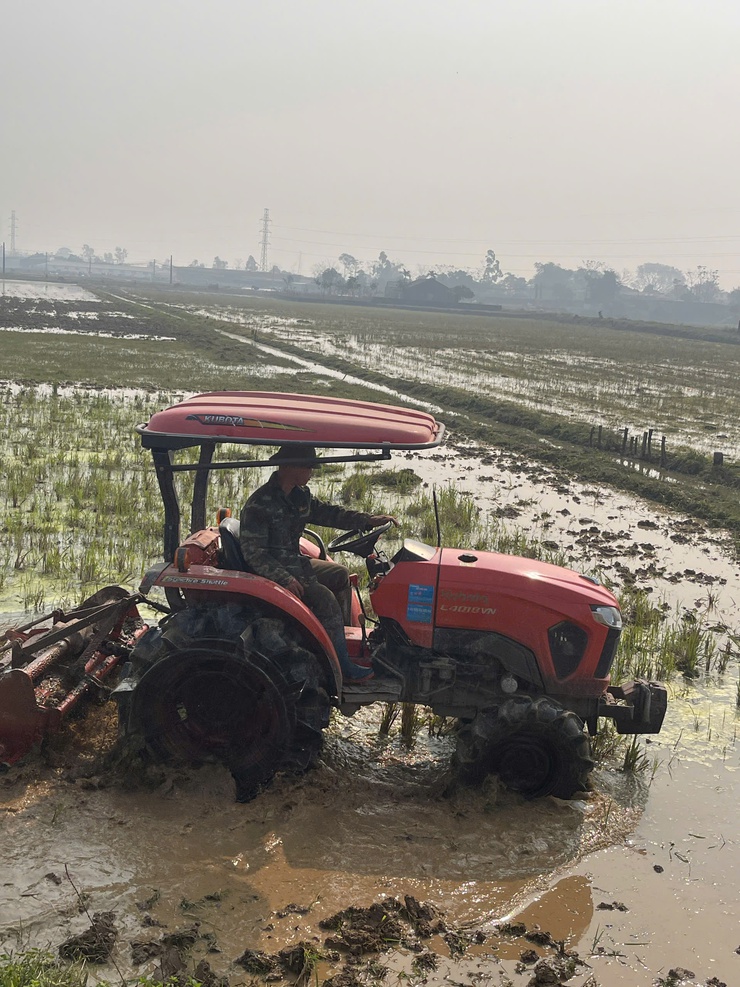 Trung tâm Dịch vụ tổng hợp xã Phú Nghĩa hướng dẫn Kỹ thuật gieo mạ và che phủ nilon chống rét cho mạ Xuân- Ảnh 1.