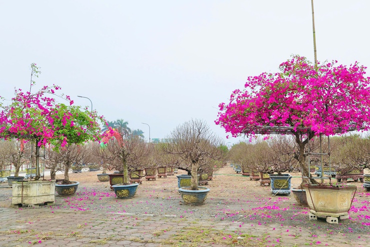 Nhiều kết quả tích cực trong giải quyết “5 điểm nghẽn” ở Phú Nghĩa- Ảnh 2.