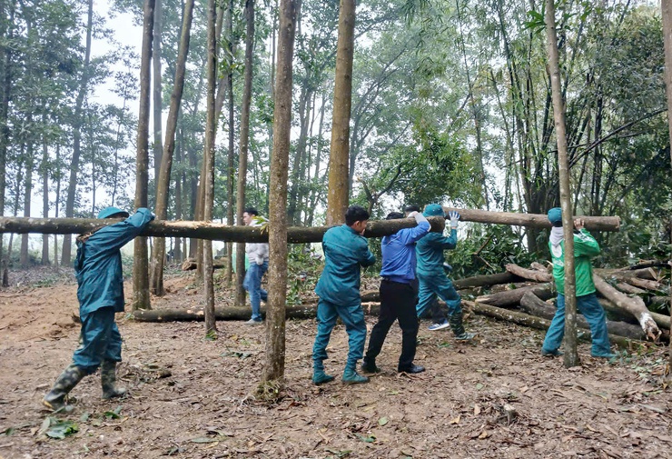 Phường Tùng Thiện tổ chức ra quân tổng vệ sinh môi trường tại khuôn viên Miếu Đượng - Tổ dân phố Kỳ Sơn- Ảnh 3.