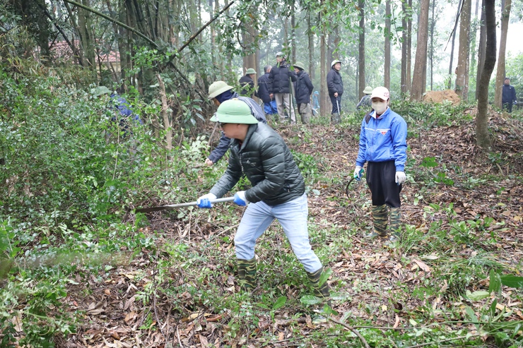 Phường Tùng Thiện tổ chức ra quân tổng vệ sinh môi trường tại khuôn viên Miếu Đượng - Tổ dân phố Kỳ Sơn- Ảnh 2.