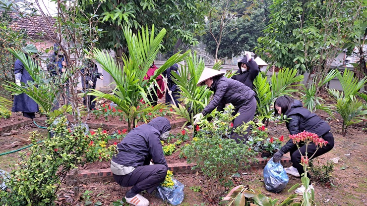 Hội Phụ nữ xã trồng gần 1.000 cây hoa tại Đình Sơn Trung.- Ảnh 1.