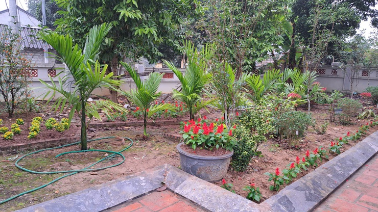 Hội Phụ nữ xã trồng gần 1.000 cây hoa tại Đình Sơn Trung.- Ảnh 3.