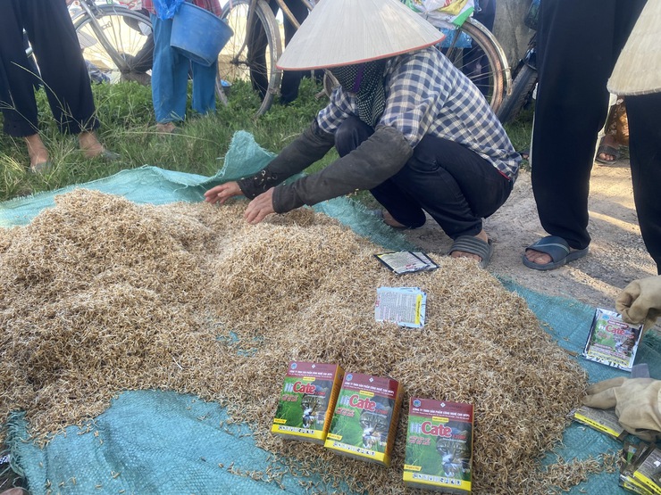 Trung tâm dịch vụ tổng hợp xã Đại Xuyên
Hướng dẫn các biện pháp phòng trừ chuột vụ xuân 2026
- Ảnh 1.