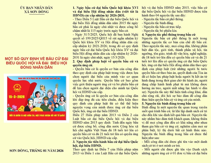 Một số quy định về bầu cử đại biểu Quốc hội và đại biểu Hội đồng nhân dân- Ảnh 1.