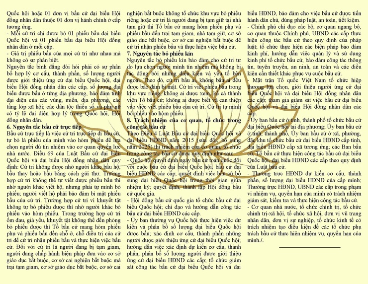 Một số quy định về bầu cử đại biểu Quốc hội và đại biểu Hội đồng nhân dân- Ảnh 2.