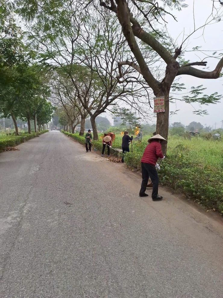 Hội Nông dân xã Thanh Trì chung tay xây dựng môi trường xanh – sạch – đẹp chào Xuân Bính Ngọ- Ảnh 2.