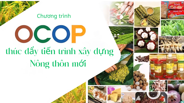 CÔNG KHAI THÔNG TIN VÀ QUẢNG BÁ CÁC SẢN PHẨM OCOP TRÊN ĐỊA BÀN XÃ BẤT BẠT GIAI ĐOẠN 2026 - 2030- Ảnh 1.
