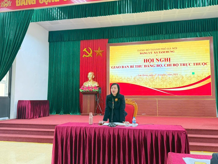 Gian ban Đảng bộ, chi bộ trực thuộc tập trung lãnh đạo đồng bộ, hoàn thành 100% nhiệm vụ Thành phố giao- Ảnh 4.