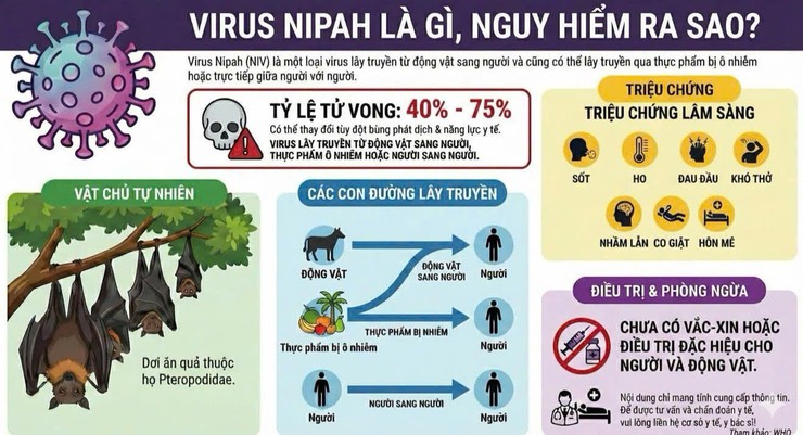 Khuyến cáo phòng chống dịch bệnh do vi rút Nipah- Ảnh 2.