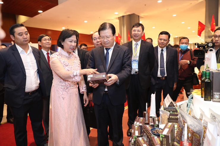 Bán nhà để khởi nghiệp với  hạt Sacha Inchi- Ảnh 1.