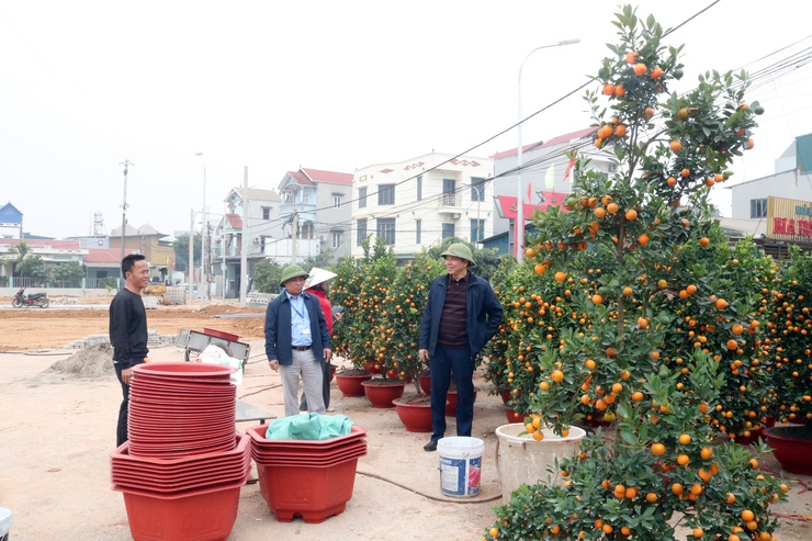 Lãnh đạo xã Quảng Bị kiểm tra công tác chuẩn bị tổ chức Chợ hoa xuân Bính Ngọ 2026- Ảnh 1.