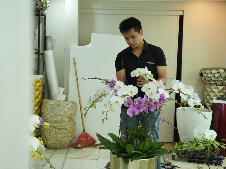 Lan Hồ Điệp Duyên Yết - sắc xuân từ nông nghiệp 
công nghệ cao Phú Xuyên
- Ảnh 4.