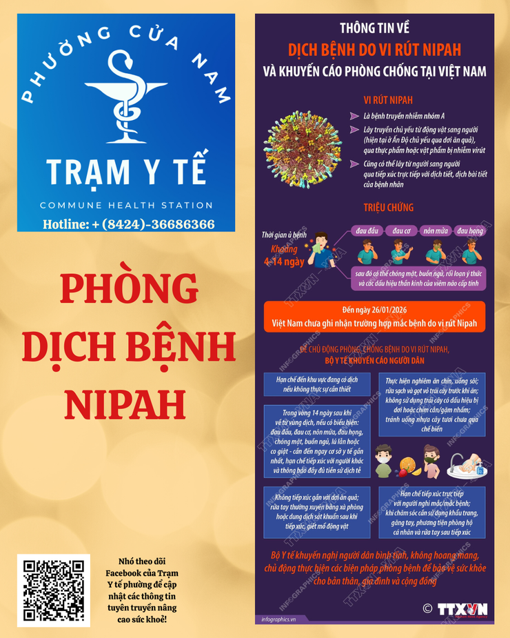 PHÒNG CHỐNG BỆNH DỊCH BỆNH NIPAH- Ảnh 1.