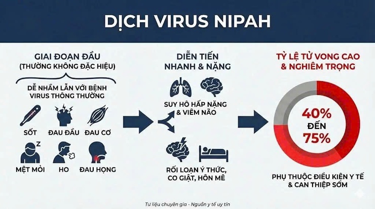 BỆNH DO VIRUS NIPAH VÀ NHỮNG ĐIỀU CẦN LƯU Ý- Ảnh 1.