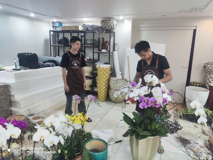 Lan Hồ Điệp Duyên Yết - sắc xuân từ nông nghiệp 
công nghệ cao Phú Xuyên
- Ảnh 6.