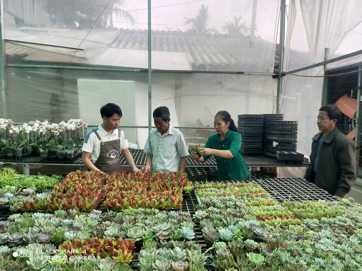 Lan Hồ Điệp Duyên Yết - sắc xuân từ nông nghiệp 
công nghệ cao Phú Xuyên
- Ảnh 7.