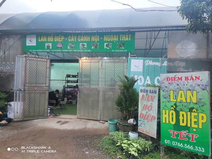 Lan Hồ Điệp Duyên Yết - sắc xuân từ nông nghiệp 
công nghệ cao Phú Xuyên
- Ảnh 1.