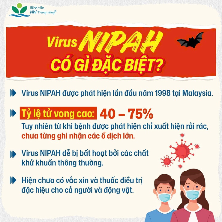 Phường Hai Bà Trưng: Tuyên truyền nhận biết virus NIPAH và cách phòng ngừa.- Ảnh 1.