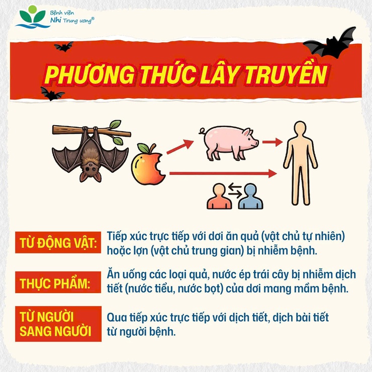Phường Hai Bà Trưng: Tuyên truyền nhận biết virus NIPAH và cách phòng ngừa.- Ảnh 2.