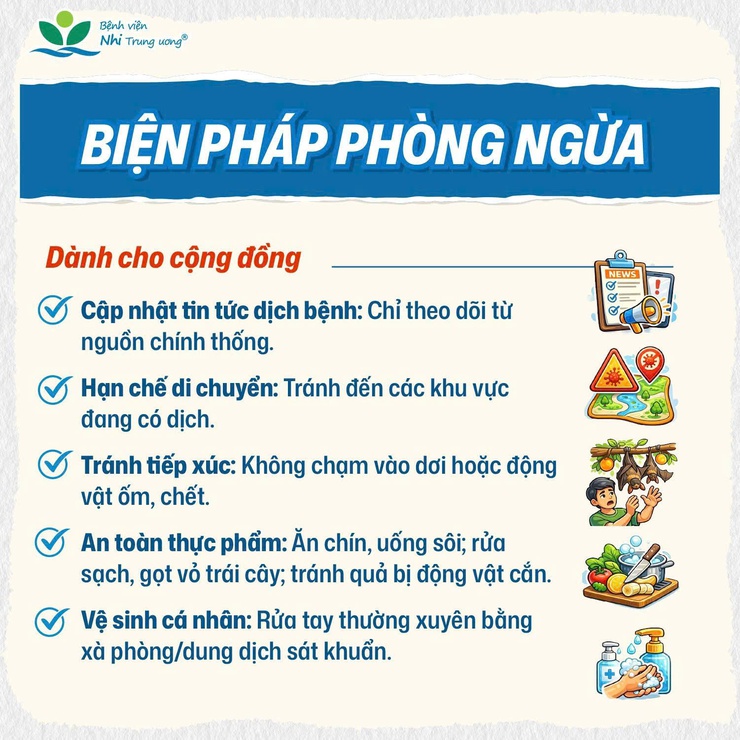Phường Hai Bà Trưng: Tuyên truyền nhận biết virus NIPAH và cách phòng ngừa.- Ảnh 6.