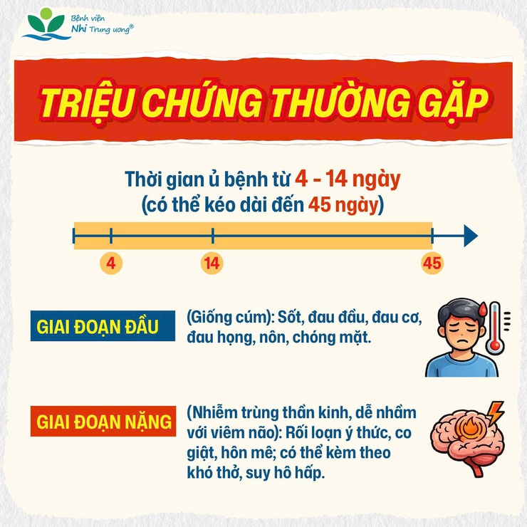 Phường Hai Bà Trưng: Tuyên truyền nhận biết virus NIPAH và cách phòng ngừa.- Ảnh 3.