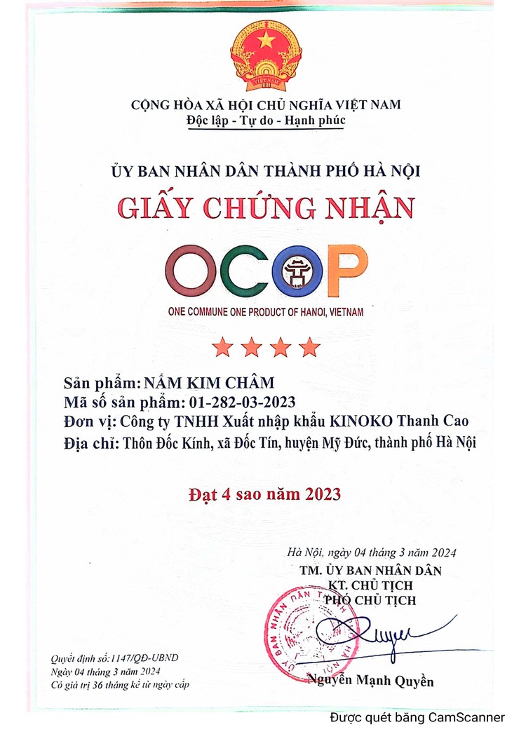 Nấm Kim Châm, Nấm Đùi Gà Hương Sơn đạt OCOP 4 sao – Khẳng định chất lượng nông sản địa phương- Ảnh 1.