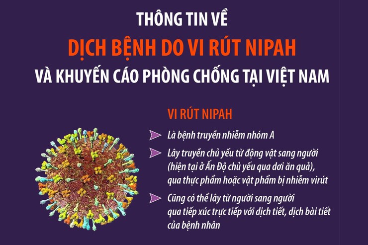 Xã Thượng Phúc: Chủ động phòng, chống bệnh do vi rút Nipah để bảo vệ sức khỏe cộng đồng- Ảnh 1.
