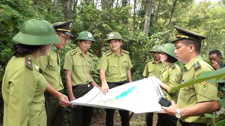 Công bố Danh mục thủ tục hành chính, thủ tục hành chính bị bãi bỏ lĩnh vực Lâm nghiệp và Kiểm lâm- Ảnh 1.