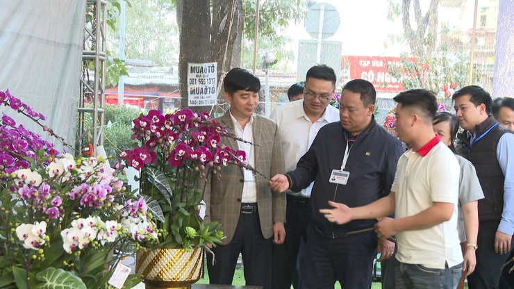 XÃ VĨNH THANH KHAI MẠC HỘI CHỢ HOA XUÂN BÍNH NGỌ NĂM 2026- Ảnh 11.